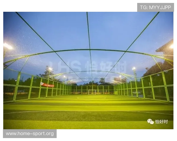 9D体育创新模式引领未来体育行业发展新潮流打造全新体验平台